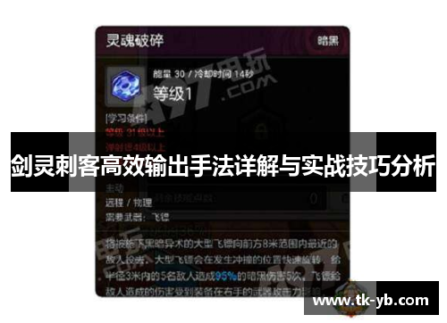 剑灵刺客高效输出手法详解与实战技巧分析